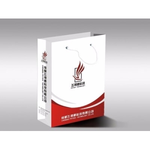 项目名称十三